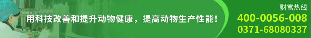 Ե(MG)ҳ