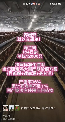 164䵥12000ֻ96%ۼԲ1%ô