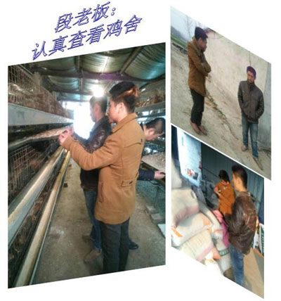 Ե鼦-400.jpg