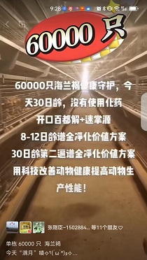  60000ֻʹòԵٶ⿵ֵƻ